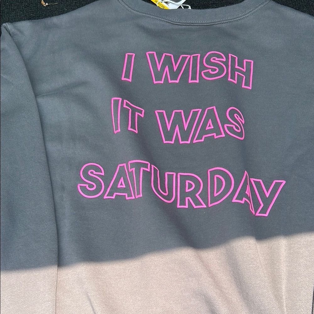 Wildfox Gray and Pink Sweatshirt Casual Comfort - Picture 6 of 11